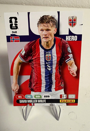 Panini fifa world cup - fifa,