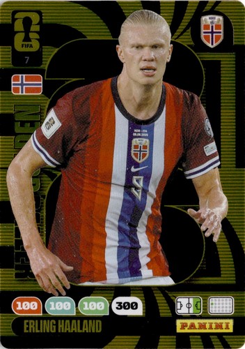Panini adrenalyn fifa world - adrenalyn,