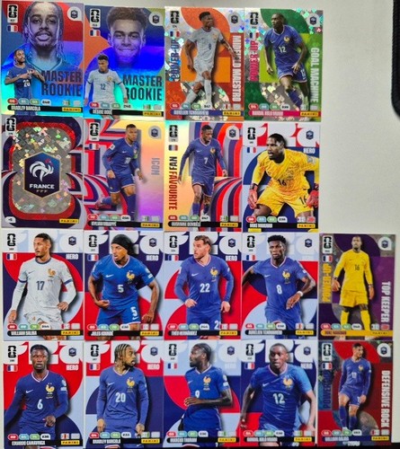 Panini fifa world - panini,