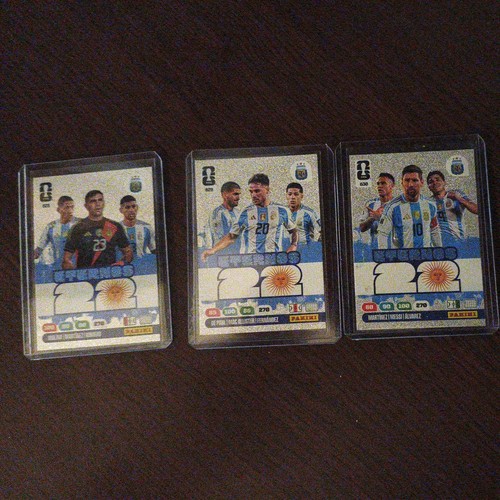 Panini adrenalyn series - panini, wm