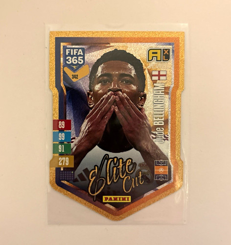 Panini fifa 365 elite - panini, jude