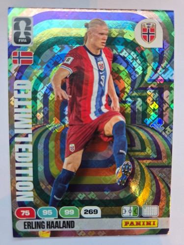Erling haaland leh hologram - erling,