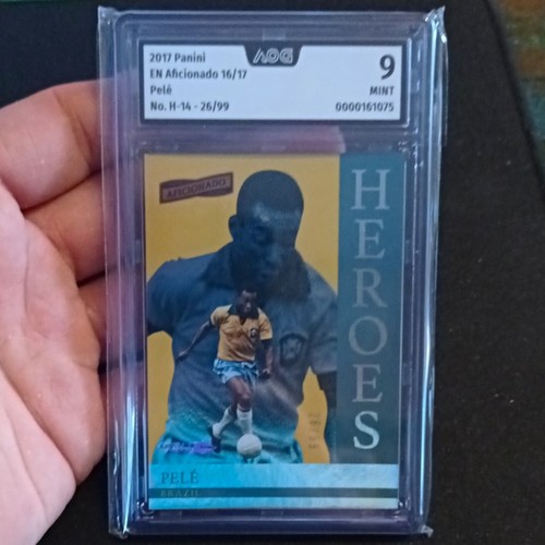 Panini 2016 aficionado - panini,